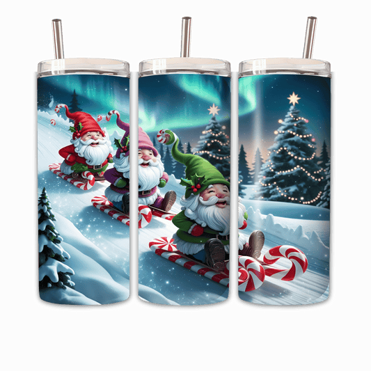 Tumbler Schlittenfahren 2