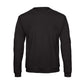 B&C ID.202 Pullover