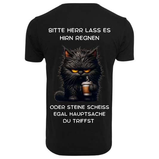 BITTE HERR LASS HIRN REGNEN...- T-ShirtUnisex-Lustiger Spruch